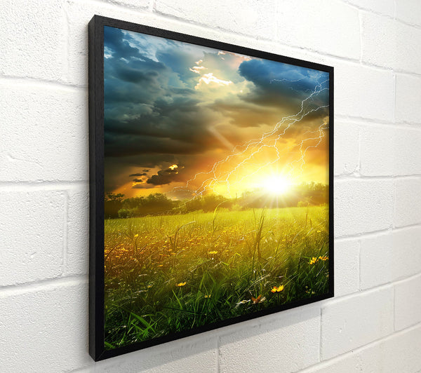 Golden Field Thunderstorm