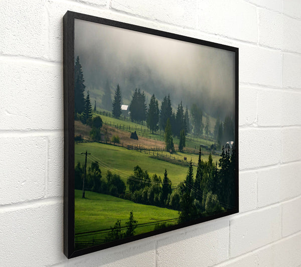 Green Foggy Fields
