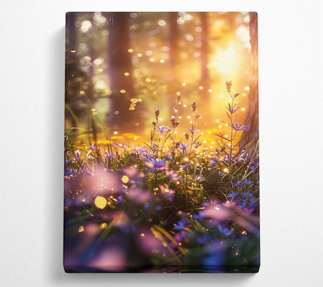  A Canvas Print of Golden Hour Bloom Canvas Print