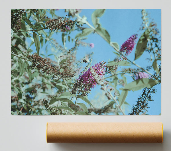 Purple Summer Blooms Giclee Print
