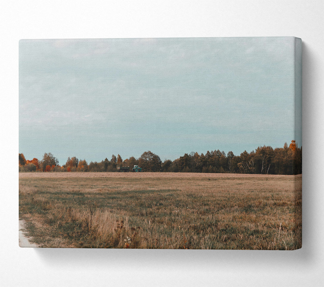  A Canvas Print of Brown Field Horizon Canvas Wall Art