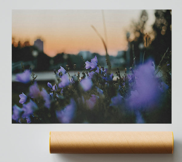 Purple Sunset Blooms Print