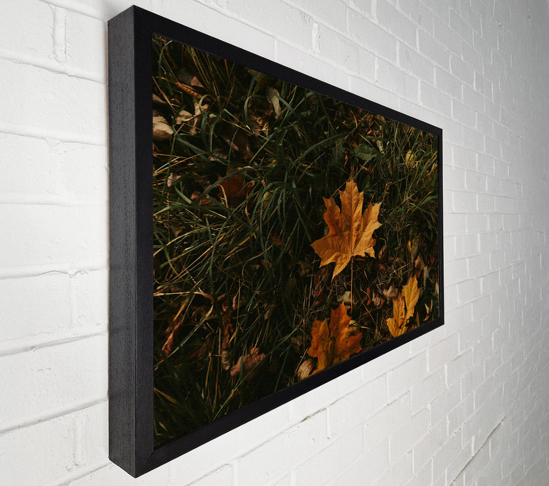  A Canvas Print of Golden Autumn Leaf Canvas Art