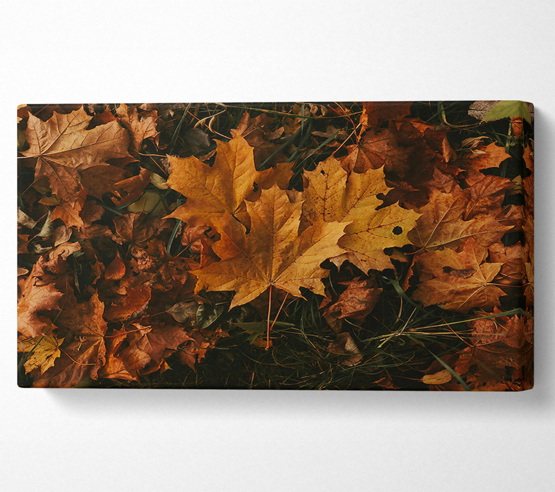  A Canvas Print of Golden Autumn Leaves Canvas Wall Art