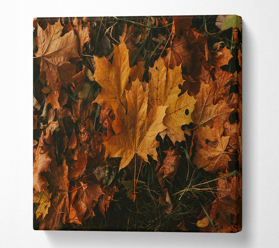  A Canvas Print of Golden Autumn Leaves Canvas Wall Art