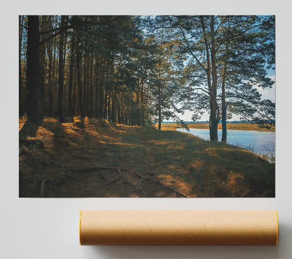 The Golden Riverbank Print