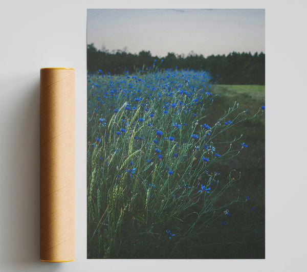 Azure Field Of Dreams Print
