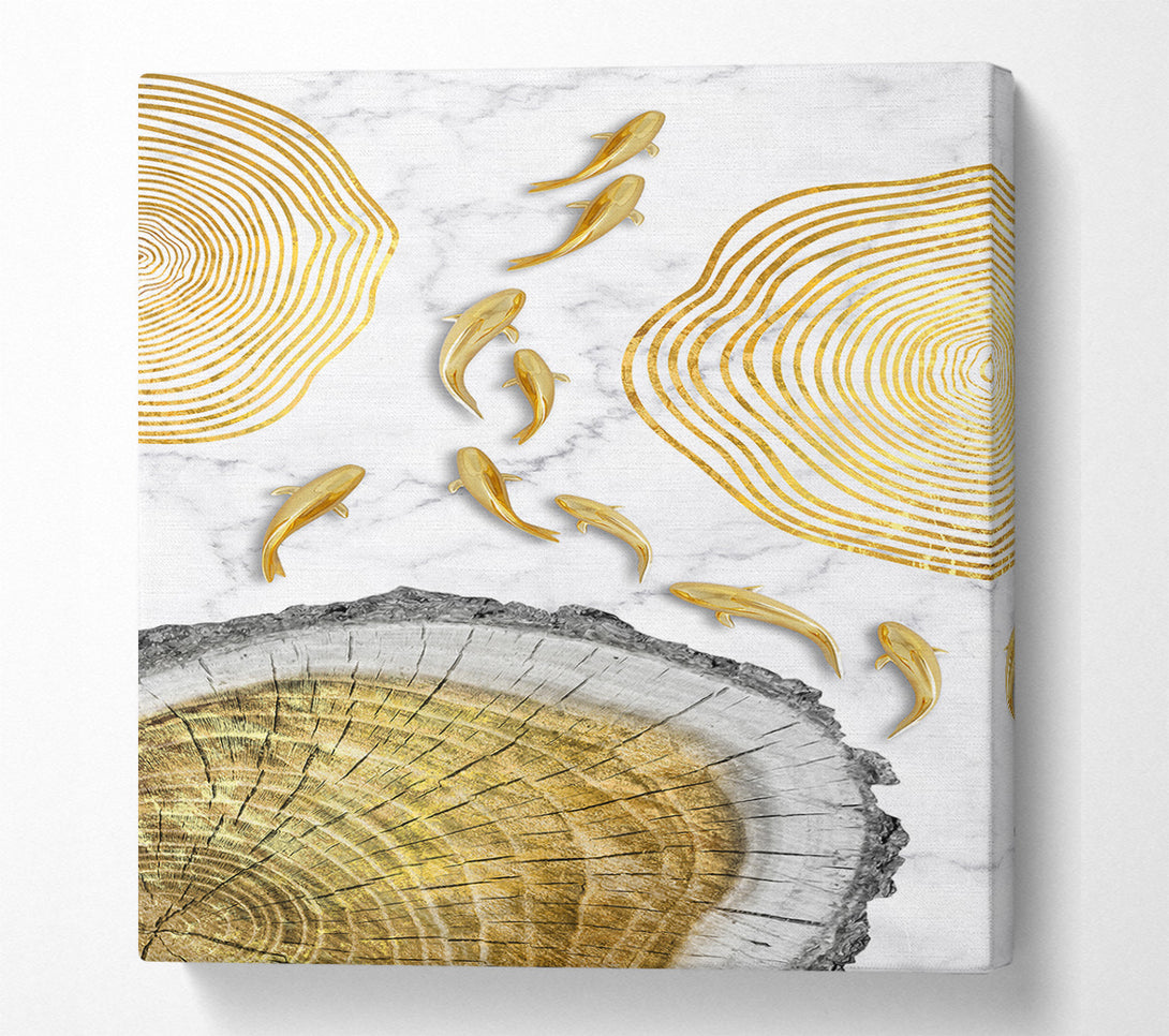  A Canvas Print of Gold Fish (2) Canvas Print