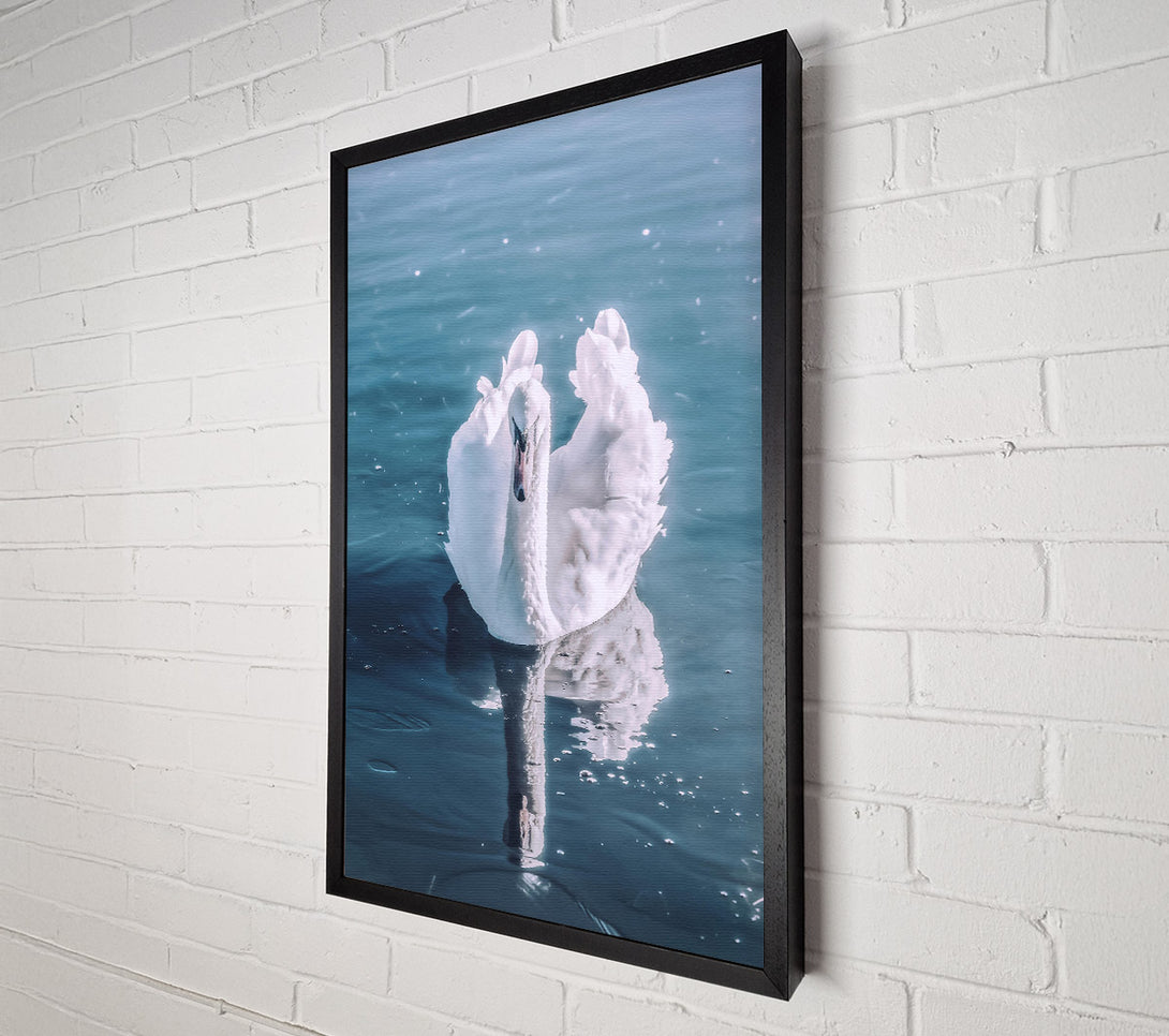  A Canvas Print of Azure Swan Reflection Canvas Print