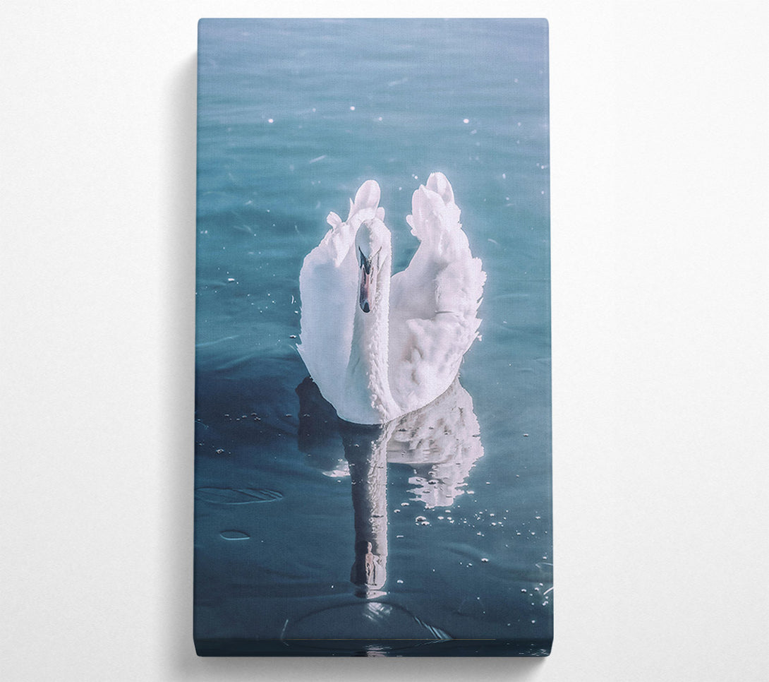  A Canvas Print of Azure Swan Reflection Canvas Print