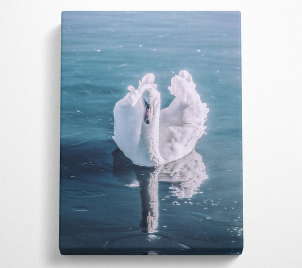  A Canvas Print of Azure Swan Reflection Canvas Print