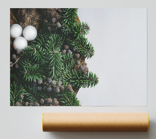 White Orbs On Green Print