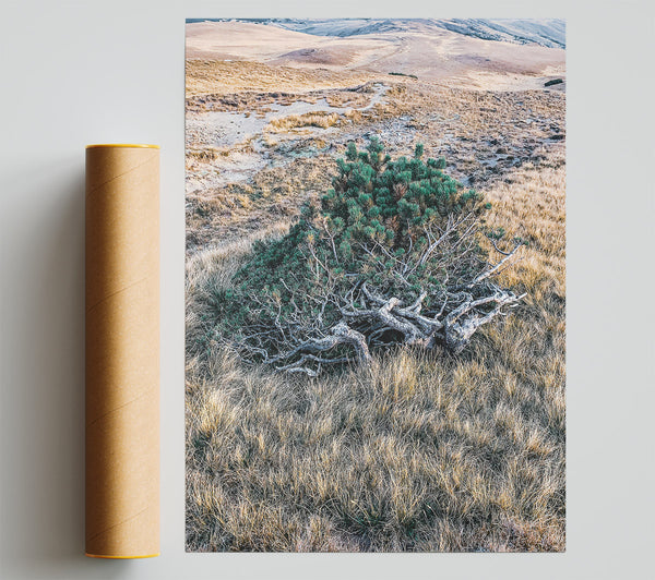 Golden Green Roots Poster