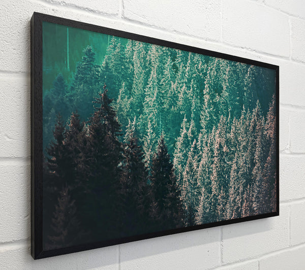 Teal Forest Dreams