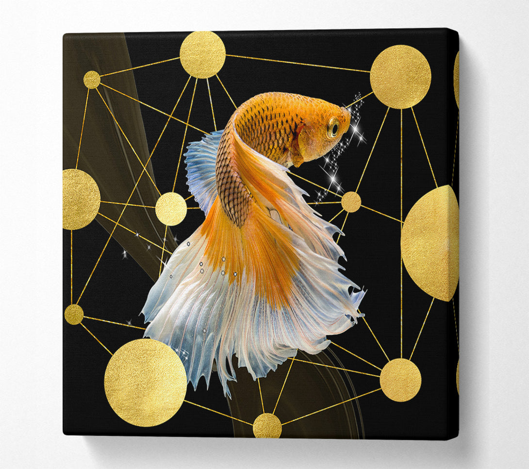  A Canvas Print of Gold Fish With Gold Spots Canvas Wall Art
