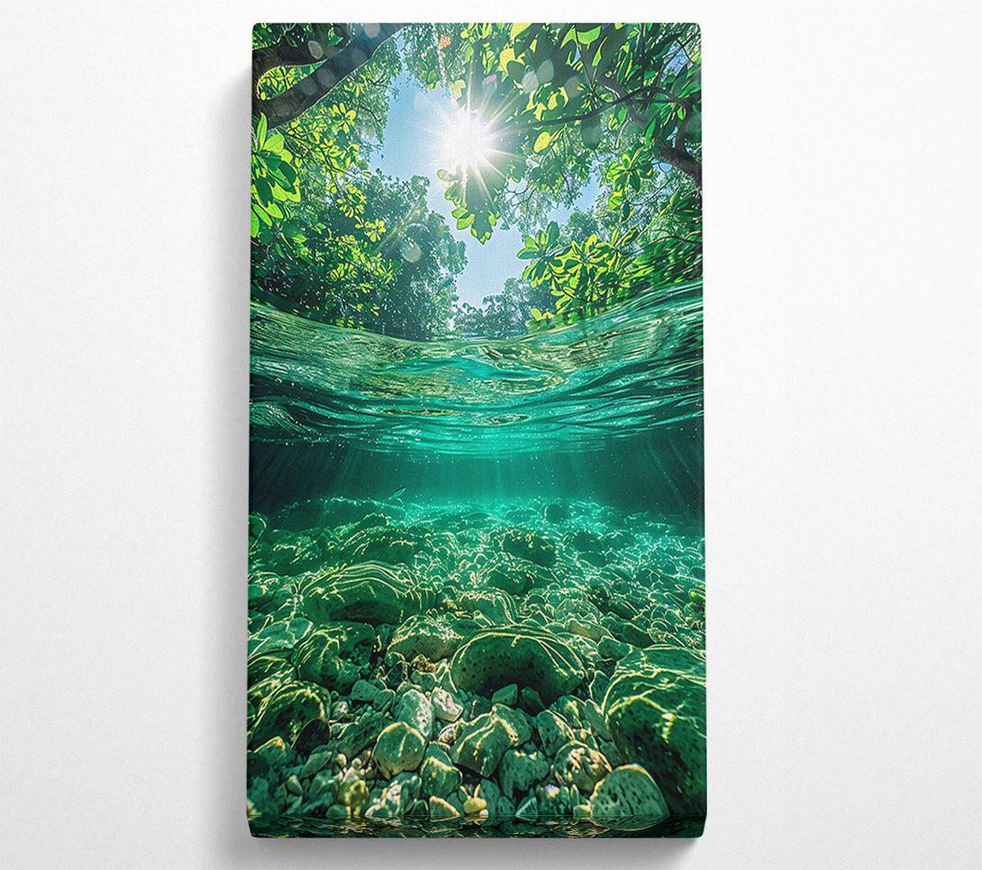  A Canvas Print of Emerald Riverbed Sunlight Canvas Wall Art
