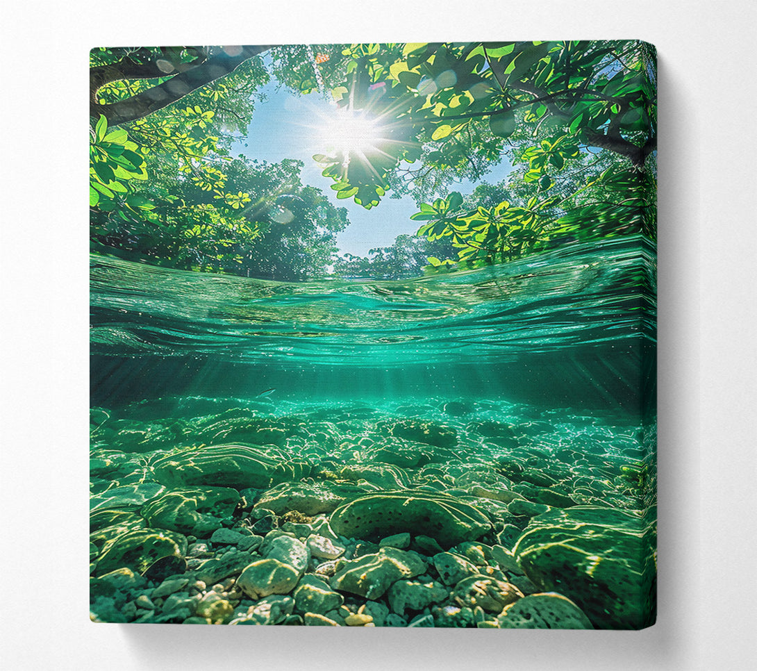  A Canvas Print of Emerald Riverbed Sunlight Canvas Wall Art