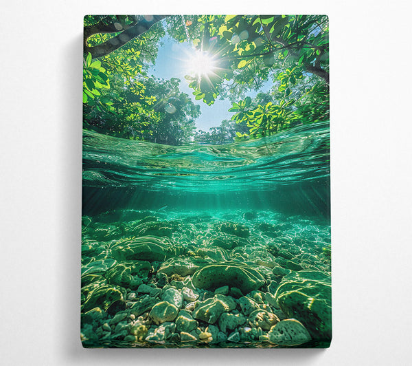  A Canvas Print of Emerald Riverbed Sunlight Canvas Wall Art