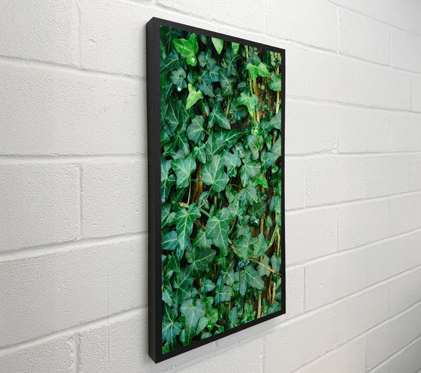 Emerald Ivy Embrace