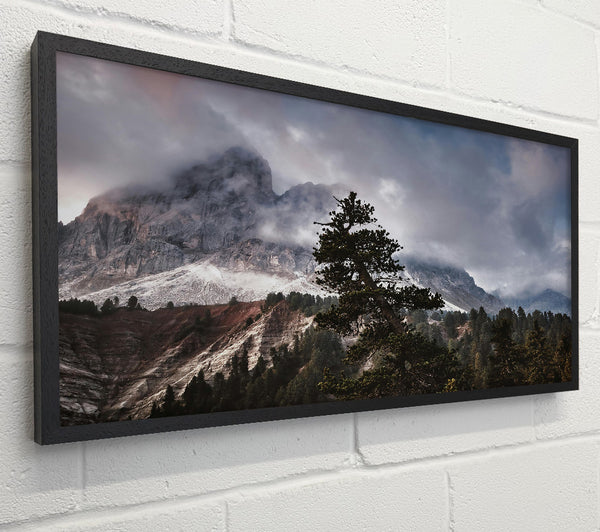 Gray Mountain Solitude