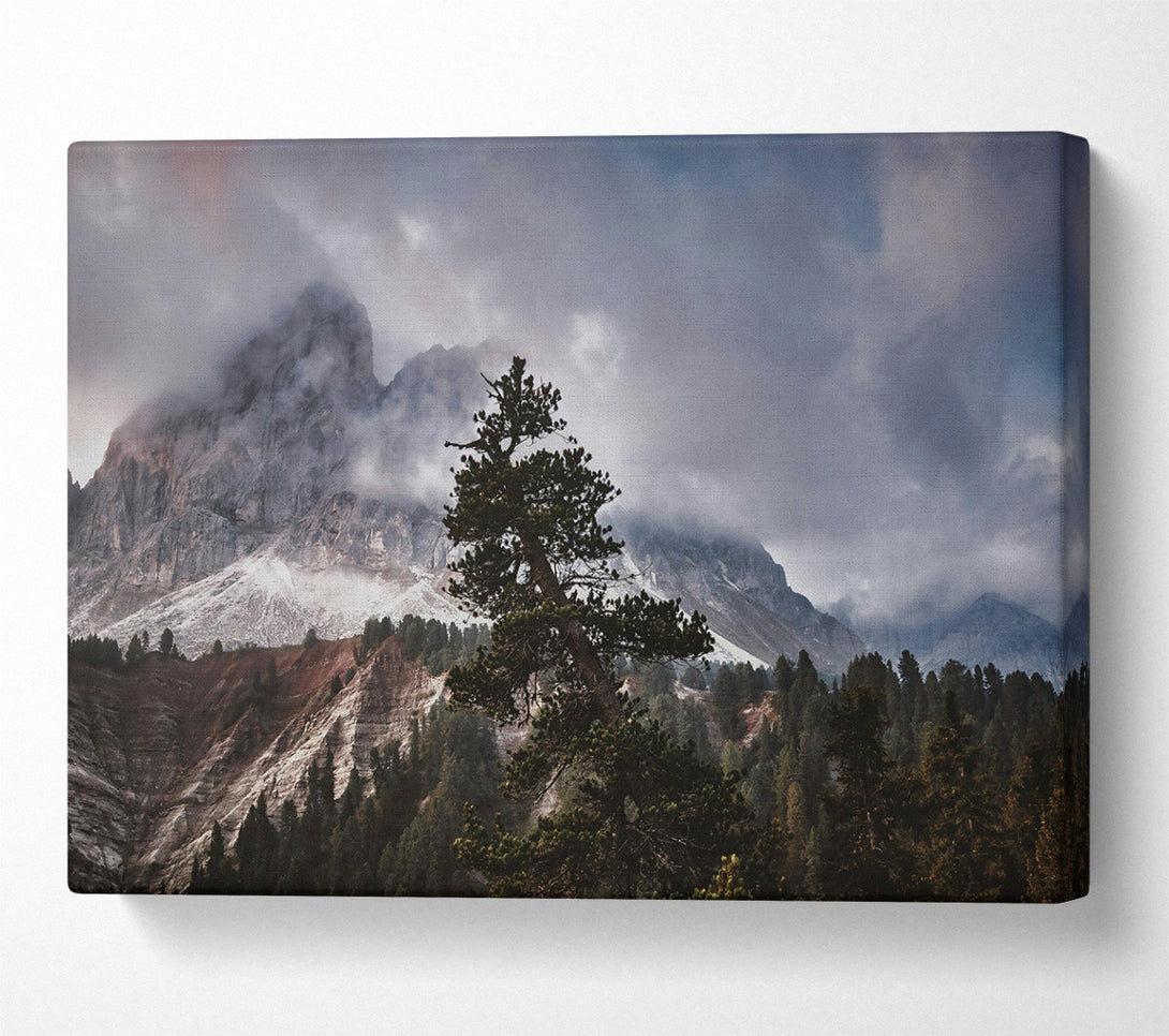  A Canvas Print of Gray Mountain Solitude Canvas Print