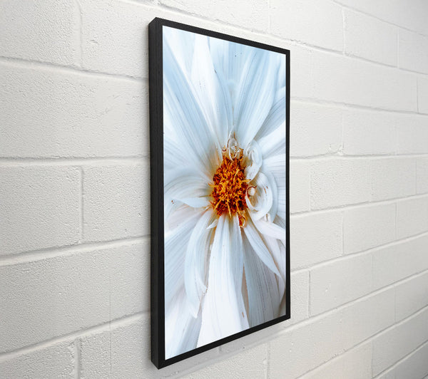 White Bloom'S Heart