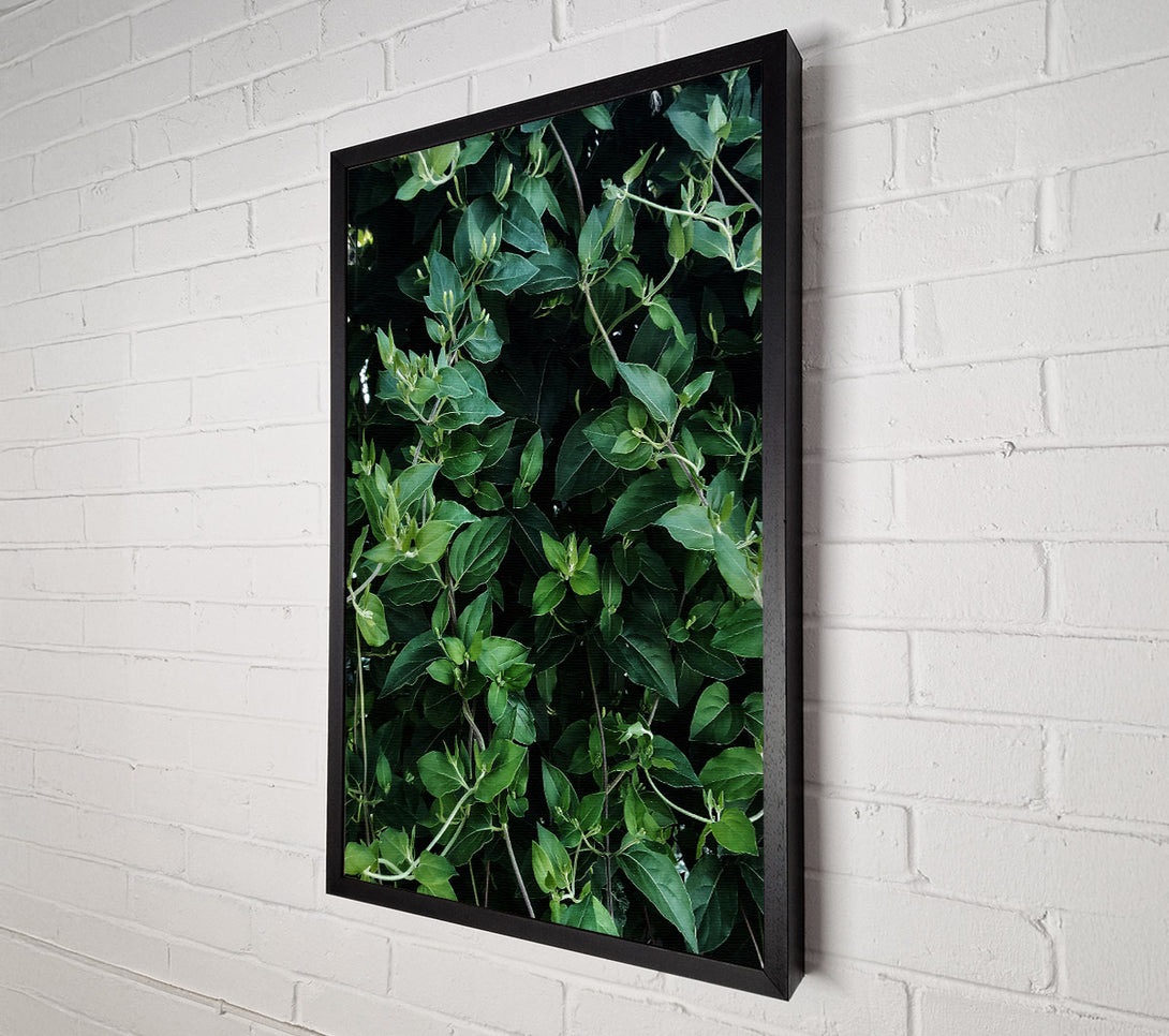  A Canvas Print of Emerald Green Vines Canvas Wall Art