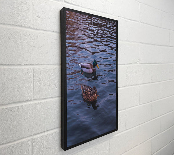 Blue Water Ducks
