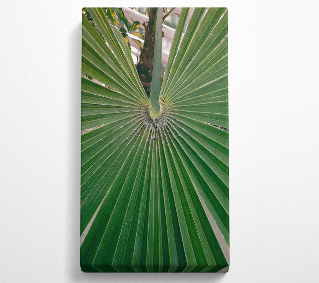  A Canvas Print of Emerald Palm Fronds Canvas Art