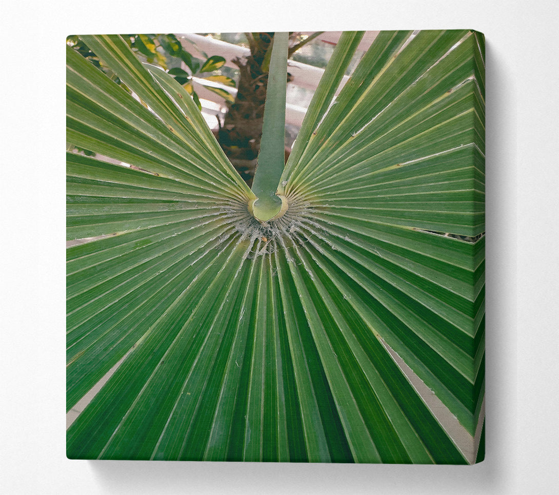  A Canvas Print of Emerald Palm Fronds Canvas Art