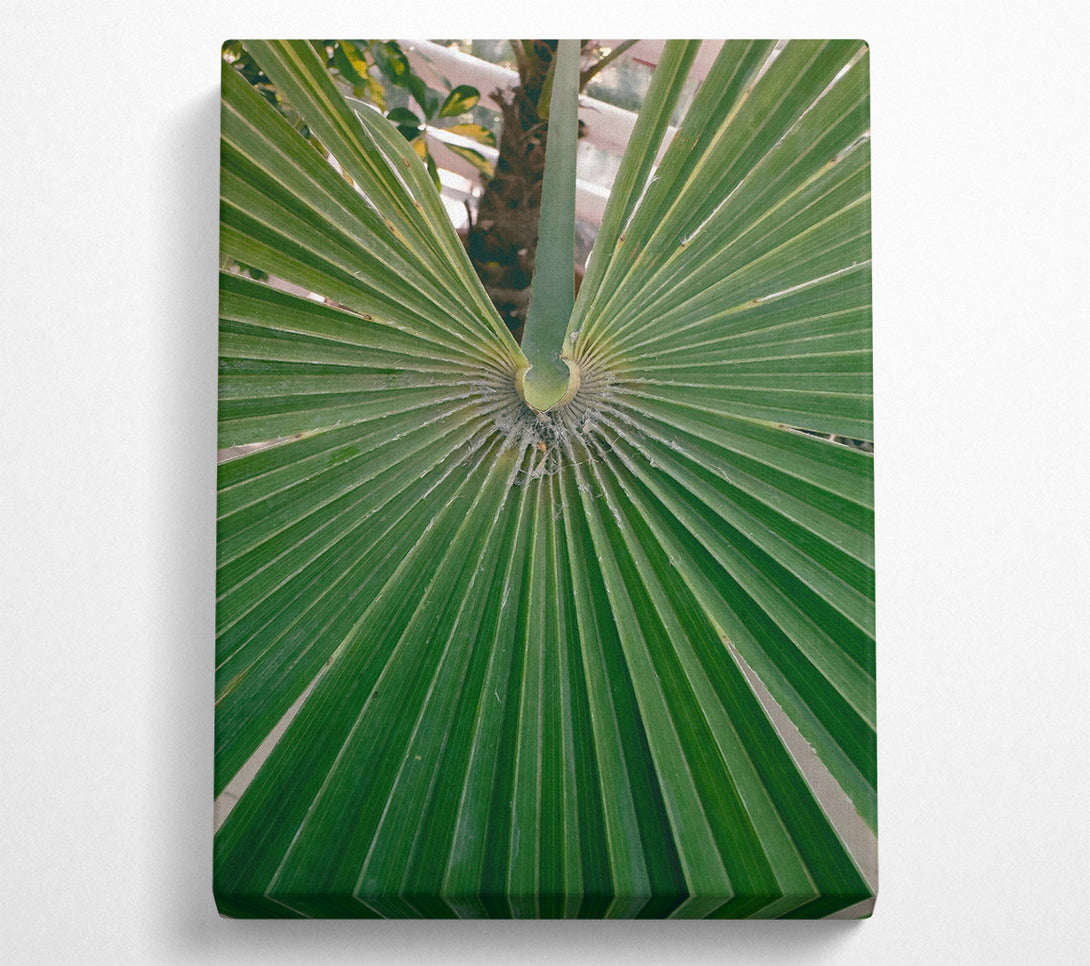  A Canvas Print of Emerald Palm Fronds Canvas Art