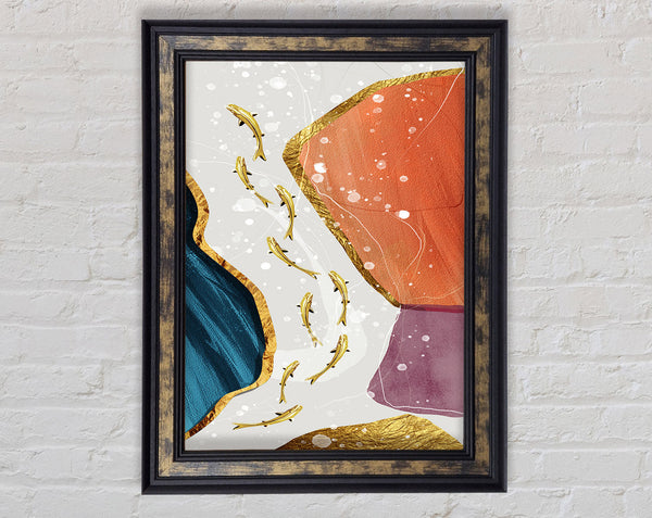 Gold Kois Swimming