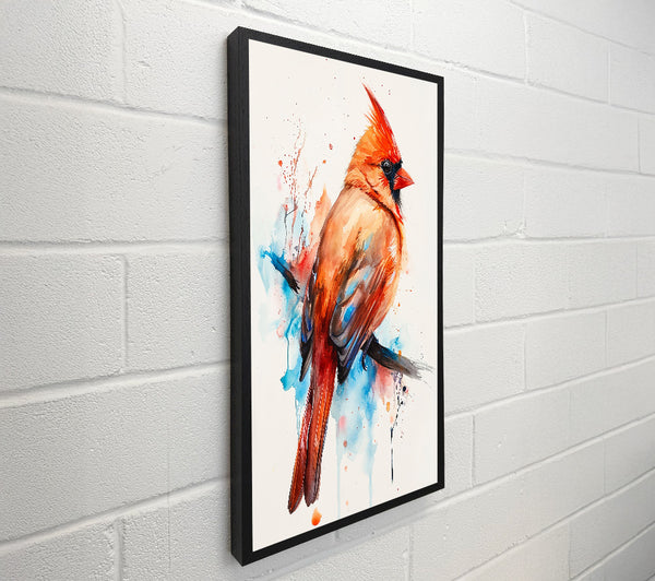 Crimson Cardinal Splash
