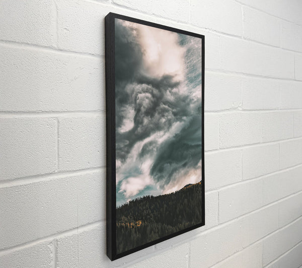 Gray Clouds Over Forest