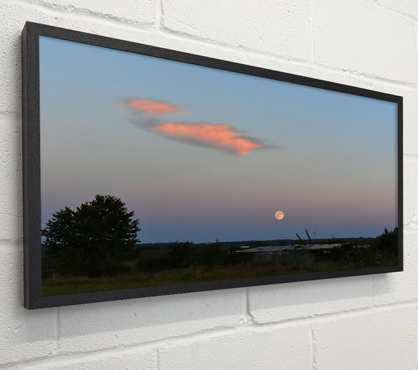 Pink Moonrise Over Field