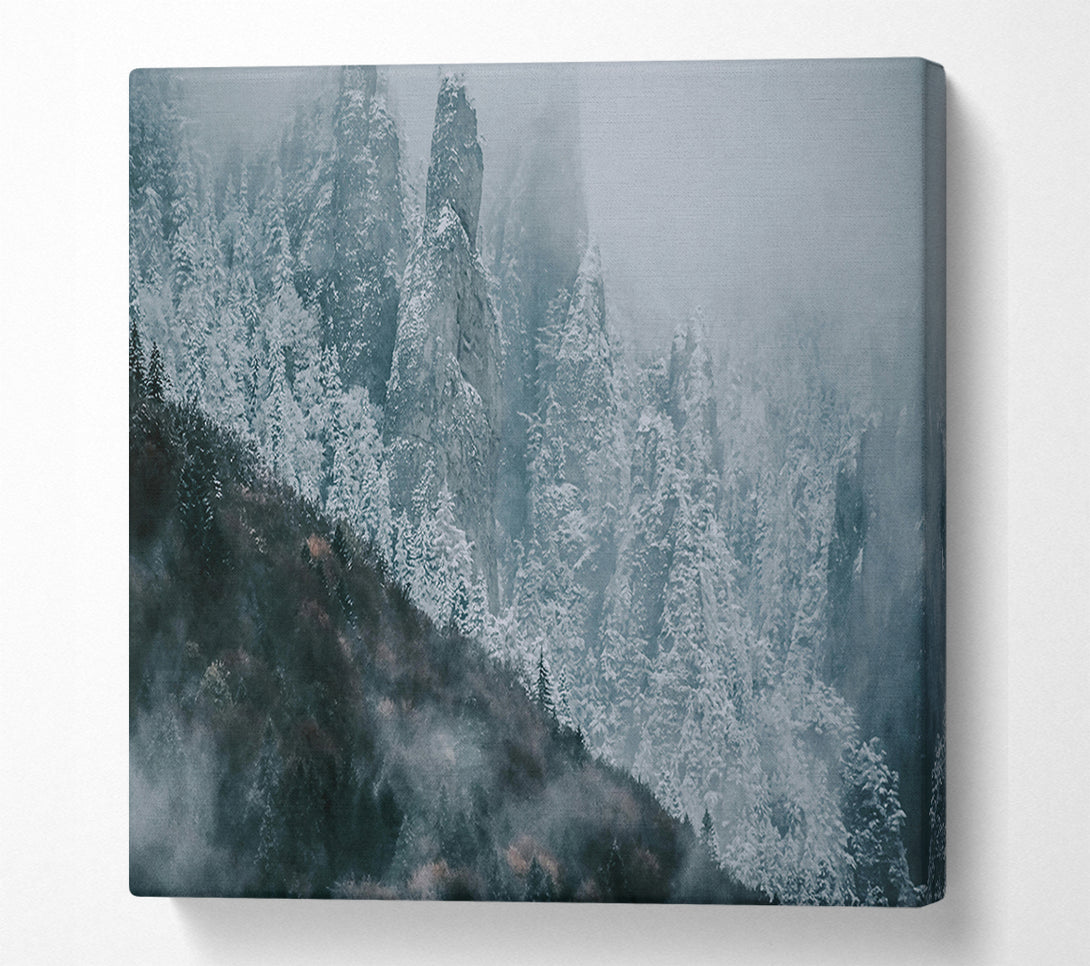  A Canvas Print of Silver Mountain Mist Canvas Art