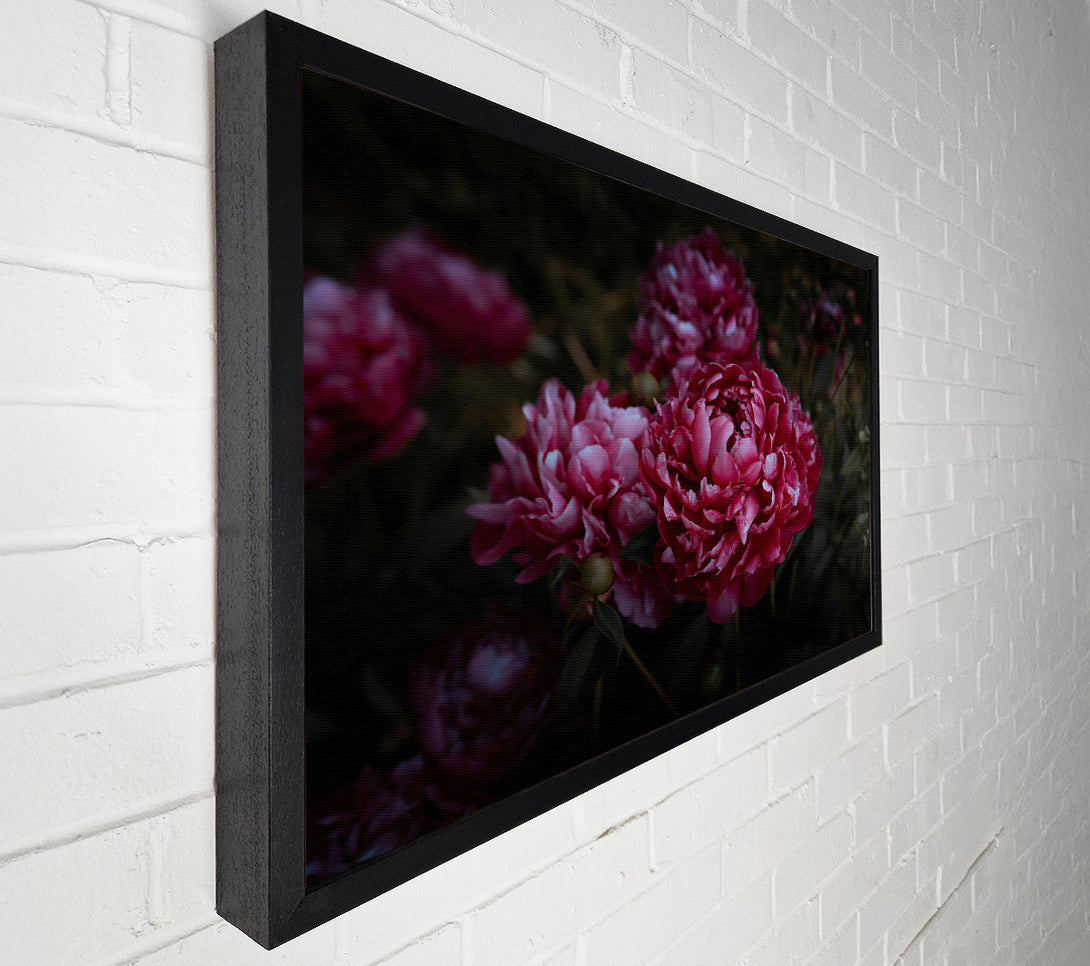  A Canvas Print of Crimson Bloom'S Embrace Canvas Wall Art