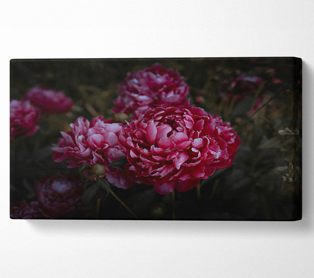  A Canvas Print of Crimson Bloom'S Embrace Canvas Wall Art
