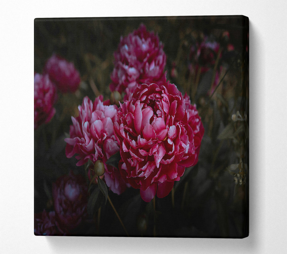  A Canvas Print of Crimson Bloom'S Embrace Canvas Wall Art