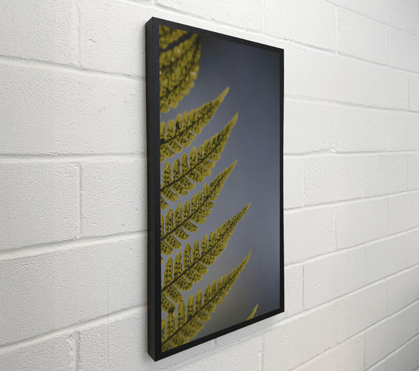 Golden Fern Fronds