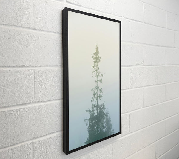 Pale Green Foggy Pine