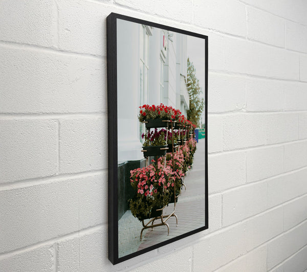 Pink City Blooms