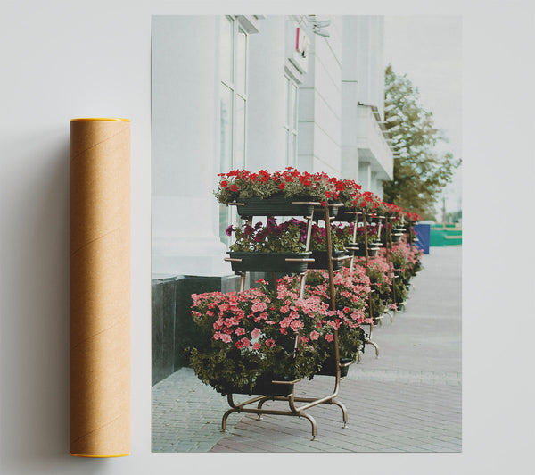 Pink City Blooms Giclee Print
