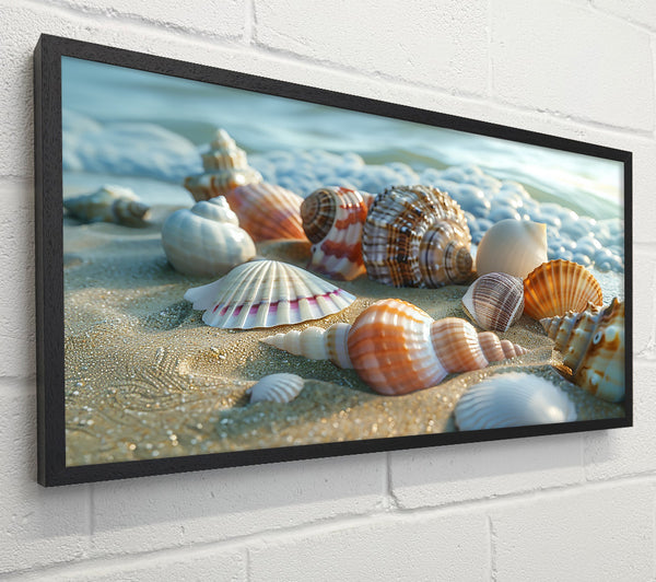 Seashells On Golden Sand