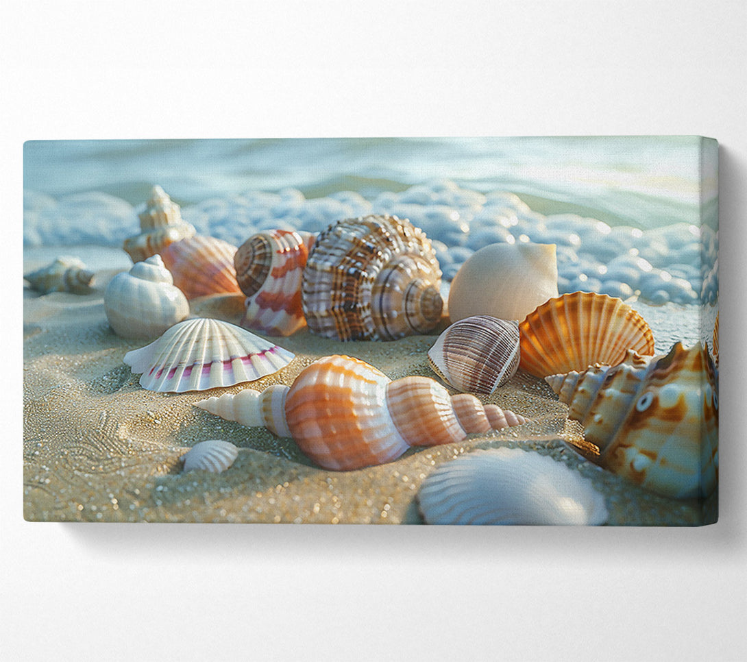  A Canvas Print of Seashells On Golden Sand Canvas Art