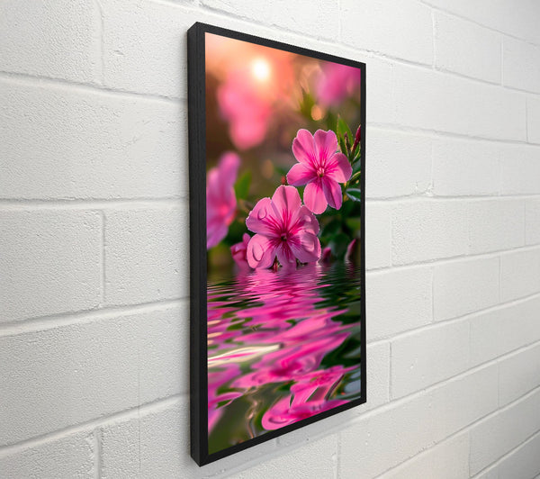 Pink Reflections In Water