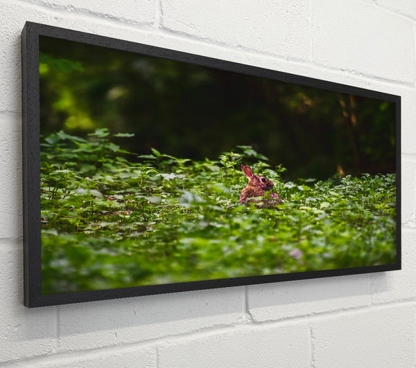 Green Forest Rabbit