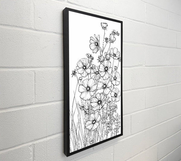 White Cosmos Bloom