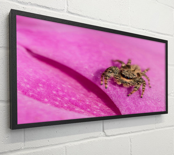 Pink Petal Hunter