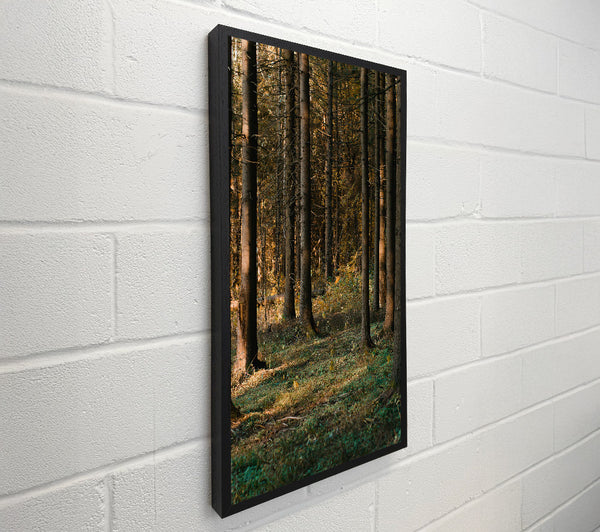 Green Forest Light